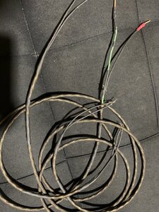 IMG_0984.jpeg