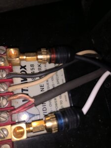 IMG_0995.jpeg