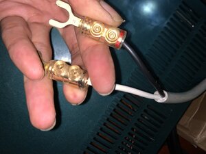 IMG_0989.jpeg