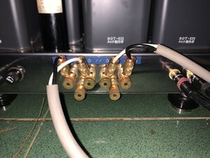 IMG_0987.jpeg