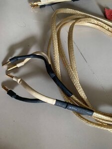 IMG_6842.jpeg