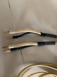 IMG_6843.jpeg