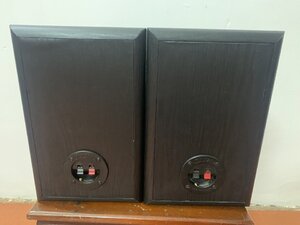 IMG_2166.jpeg