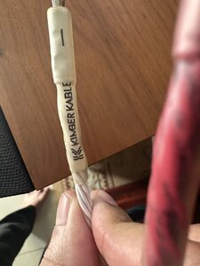 IMG_6374.jpeg