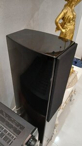 20250626_191758.jpg