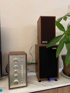 IMG_2883.jpeg