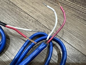 IMG_6064.jpeg