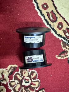 IMG_6619.jpeg