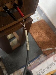 IMG_4736.jpeg