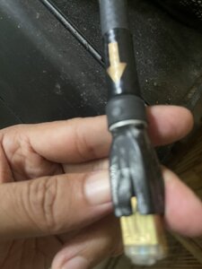 IMG_3124.jpeg