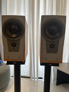 IMG_2475.jpeg