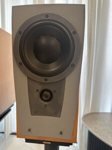 IMG_2476.jpeg