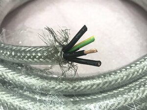 IMG_2959.jpeg