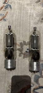 IMG_6372.jpeg