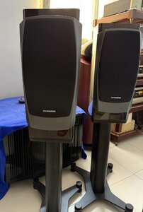 IMG_9078.jpeg