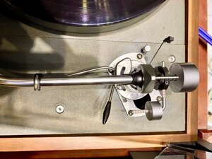 IMG_0679.jpeg