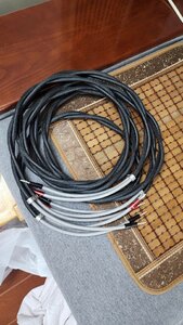 IMG_1451.jpeg