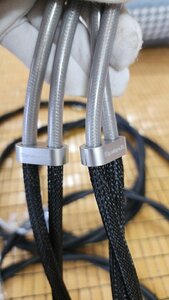 IMG_1453.jpeg