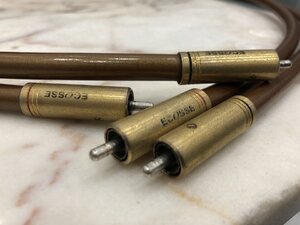 IMG_4433.jpeg