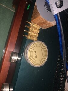 IMG_1165.jpeg