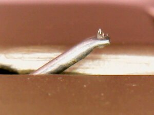 IMG_0403.jpeg