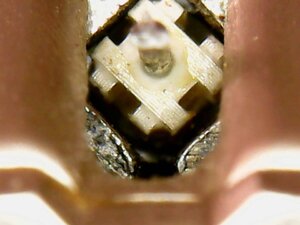 IMG_0404.jpeg