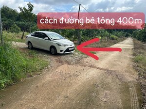 IMG_1651.jpeg