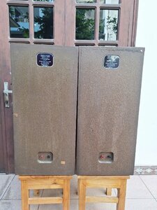 IMG_20250719_084938.jpg