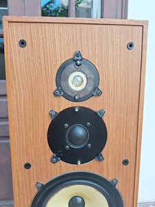 IMG_20250719_084946.jpg