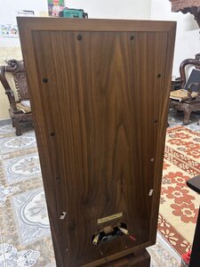 IMG_5305.jpeg