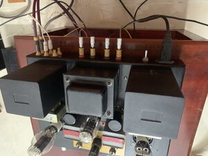 IMG_9716.jpeg