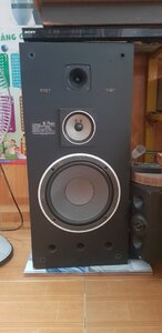 20250725_162848.jpg