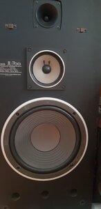 20250725_162852.jpg