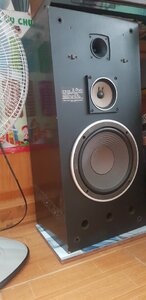 20250725_162858.jpg