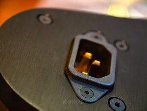 IMG_8289.jpeg