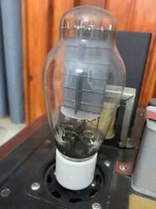 IMG_8450.jpeg