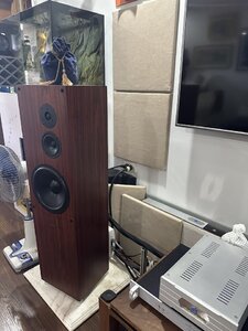 IMG_6674.jpeg