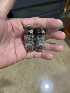 IMG_9929.jpeg