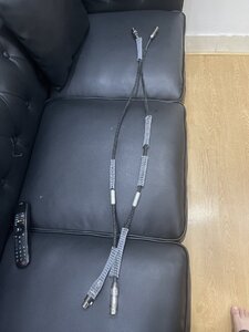 IMG_9482.jpeg