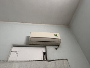 IMG_5400.jpeg