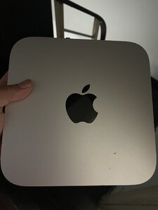IMG_7151.jpeg