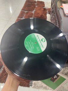 IMG_1248.jpeg