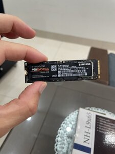IMG_0536.jpeg