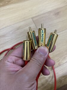 IMG_9295.jpeg