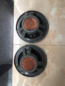 IMG_5056.jpeg