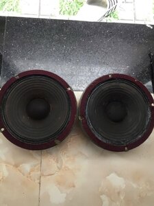 IMG_5057.jpeg