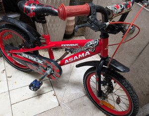 PXL_20250803_094003624 (1).jpg