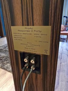 IMG_4203.jpeg
