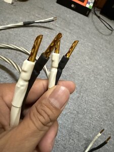 IMG_7112.jpeg