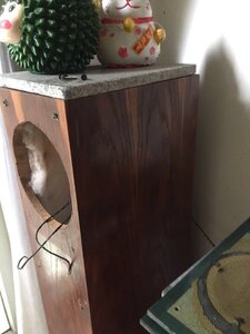 IMG_5054.jpeg
